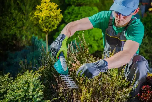 landscaping services Delta